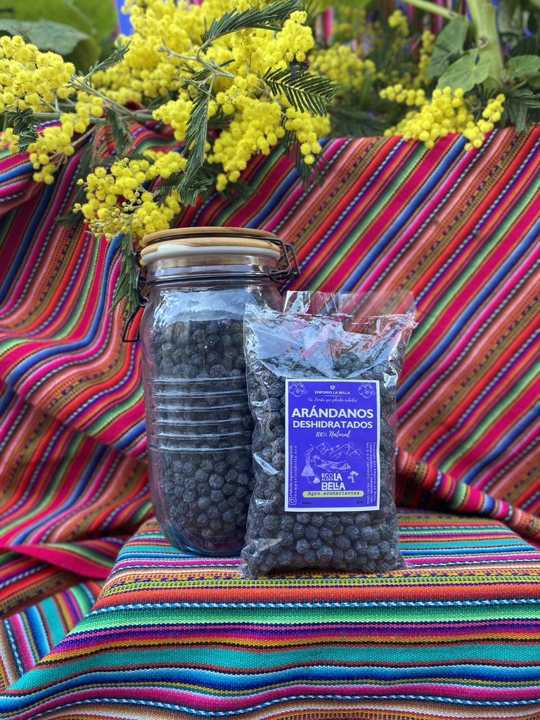 Arandano Deshidratado 250gr